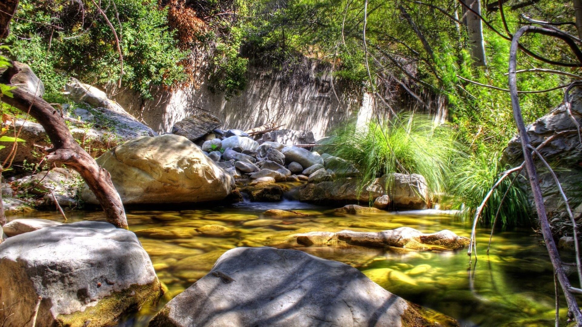 baño natural plantas encantadoras piedras grandes lago rocas matorrales naturaleza agua sol rayos gracia silencio tranquilidad