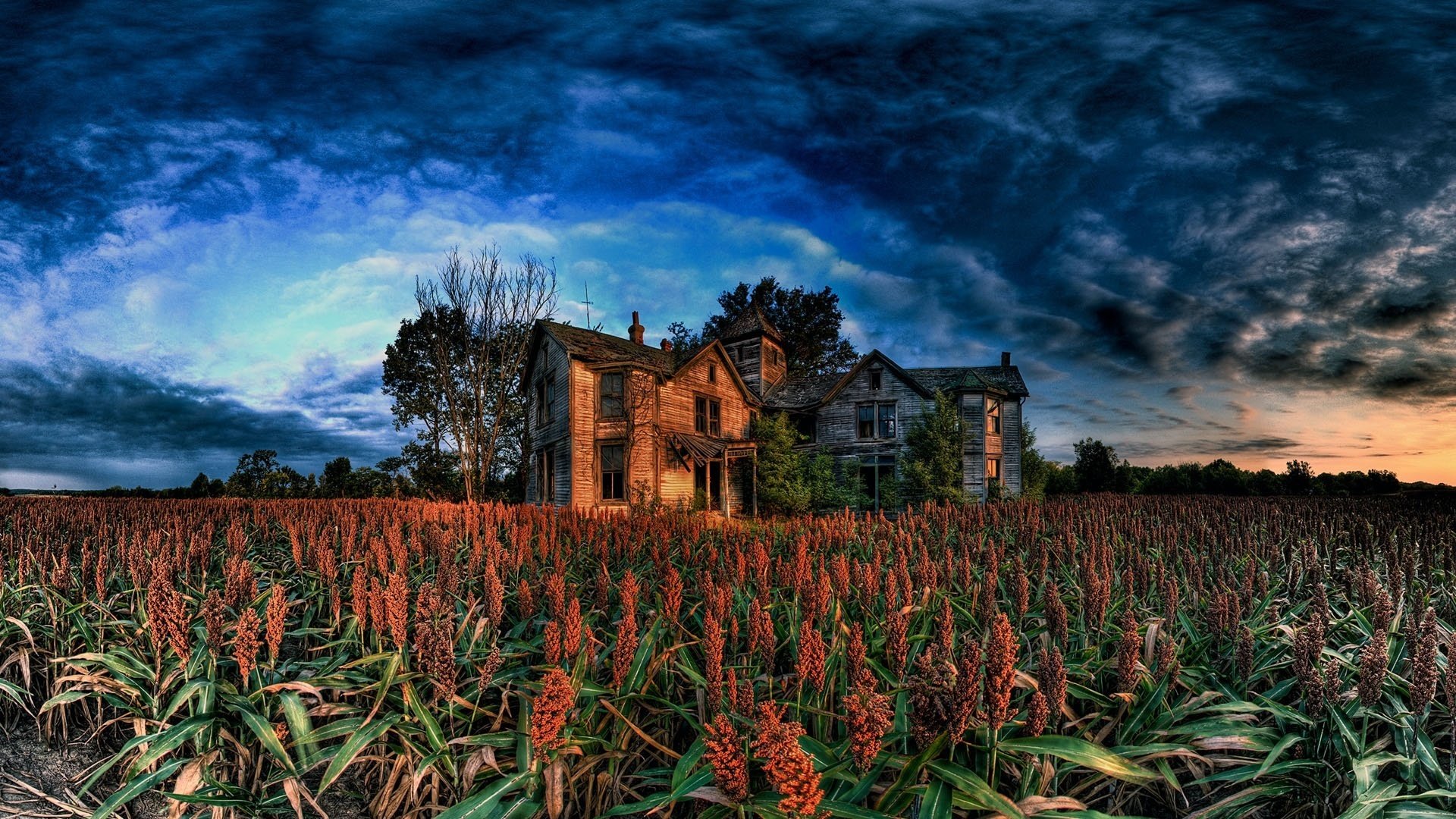 graue hütte blumen dunkle wolken gewitter häuser himmel landschaft natur schönheit