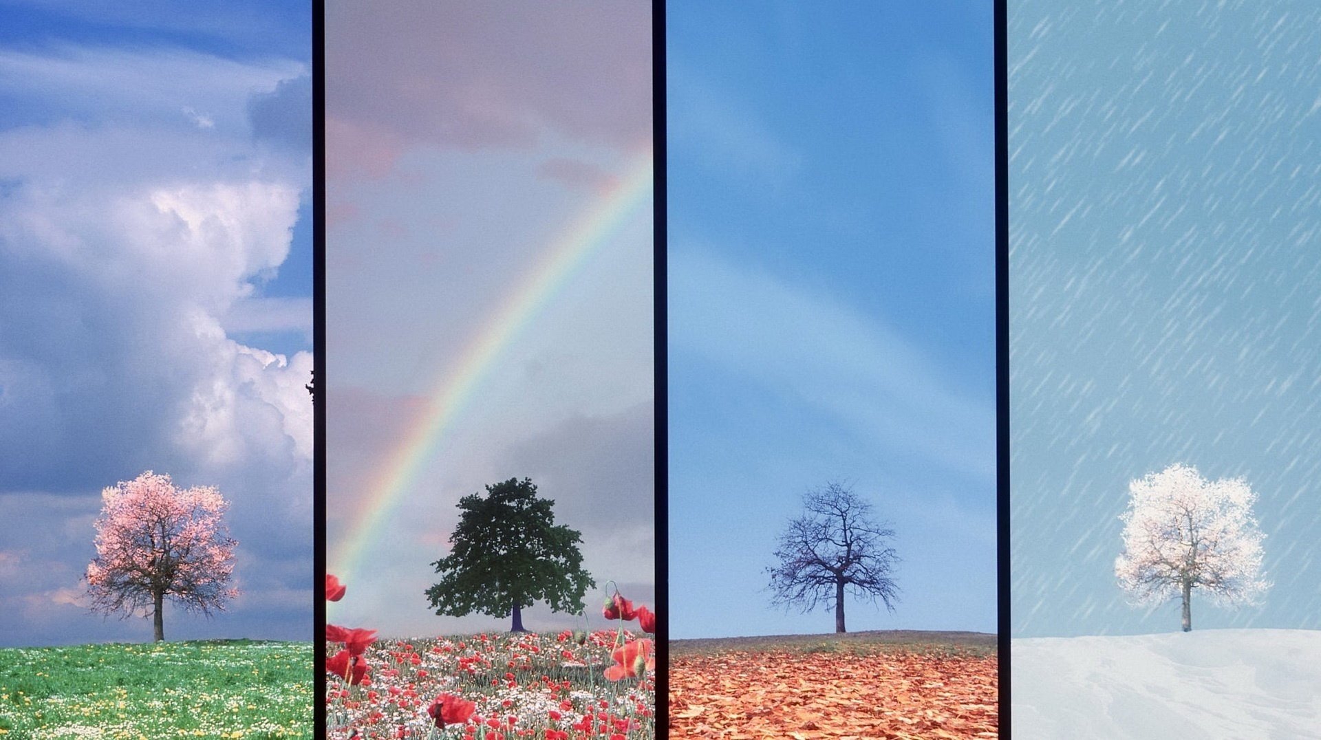 vier jahreszeiten regenbogen schnee laub sonne frühling sommer winter herbst vier jahreszeiten