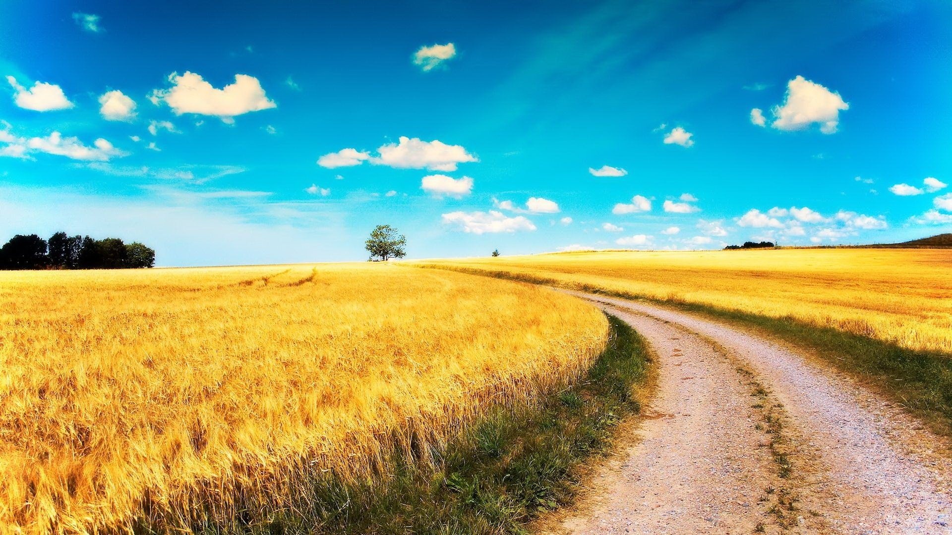 campi gialli strada immagine cielo campo svolta nuvole sole calore estate paesaggio natura grano albero raggi