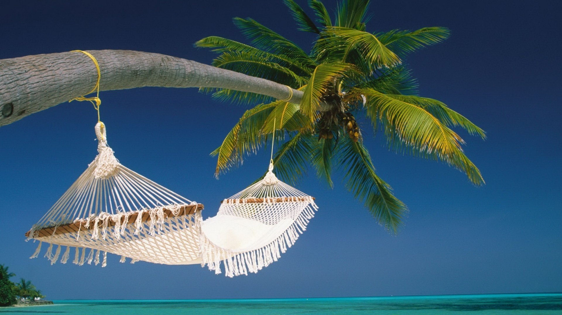 palmier plié hamac en osier ciel mer eau plage été soleil chaleur humeur