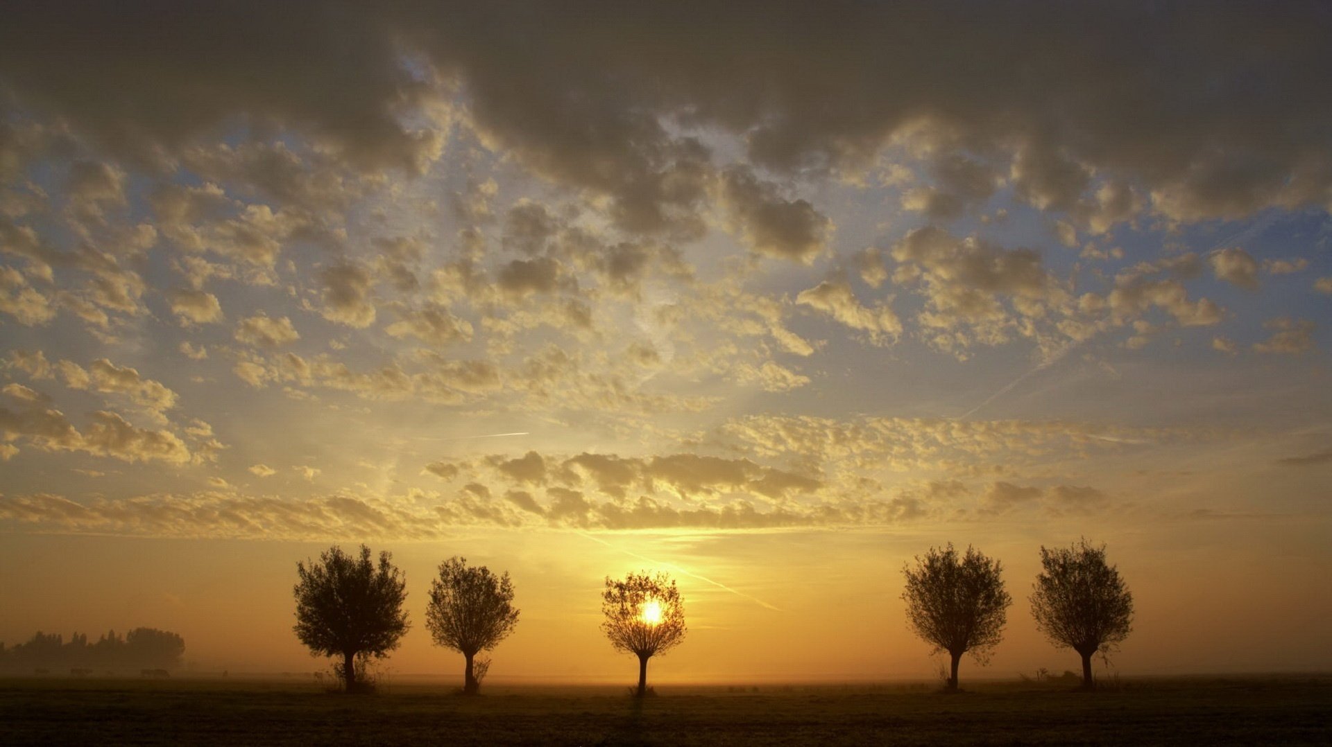 alberi solitari nuvole filanti crepuscolo tramonto cielo