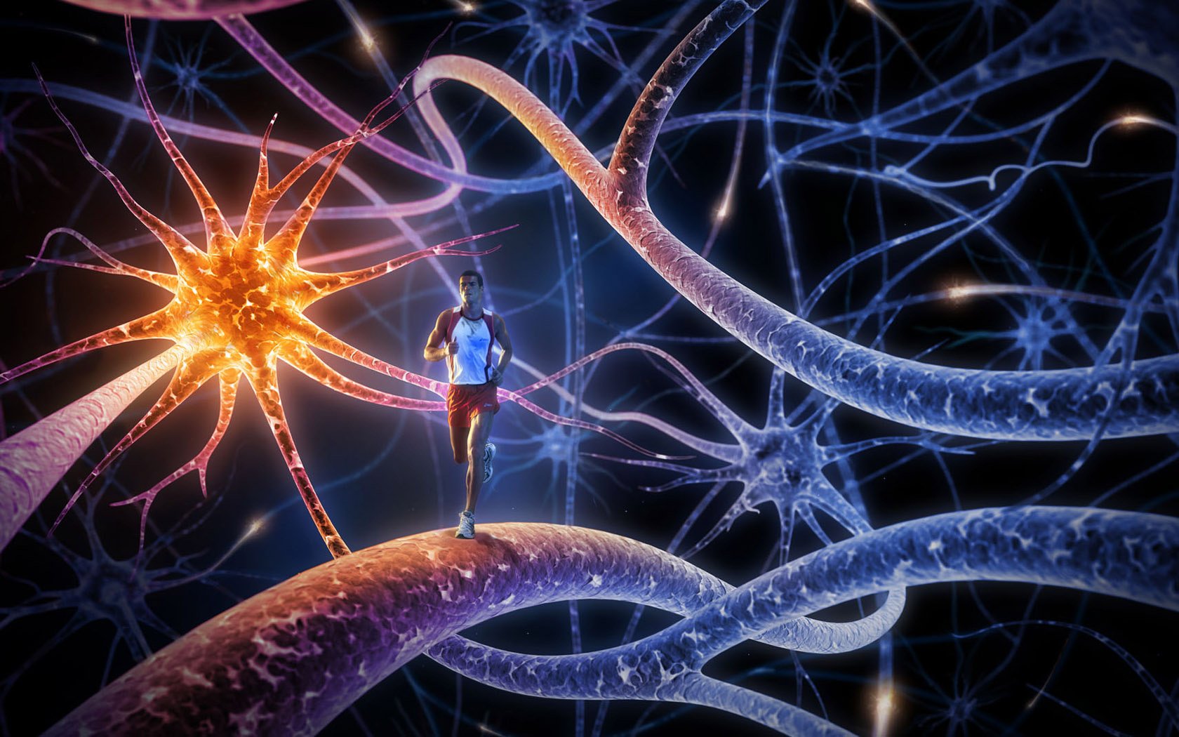 neurons of the head the power of life running athlete people