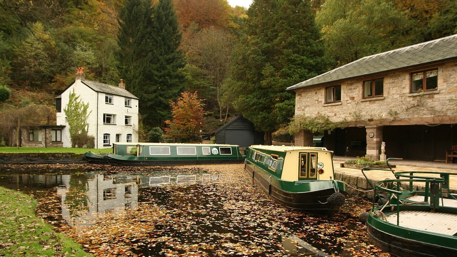 bateaux de plaisance feuillage dans l eau beauté ville eau lac feuilles forêt arbres bateaux quai maison