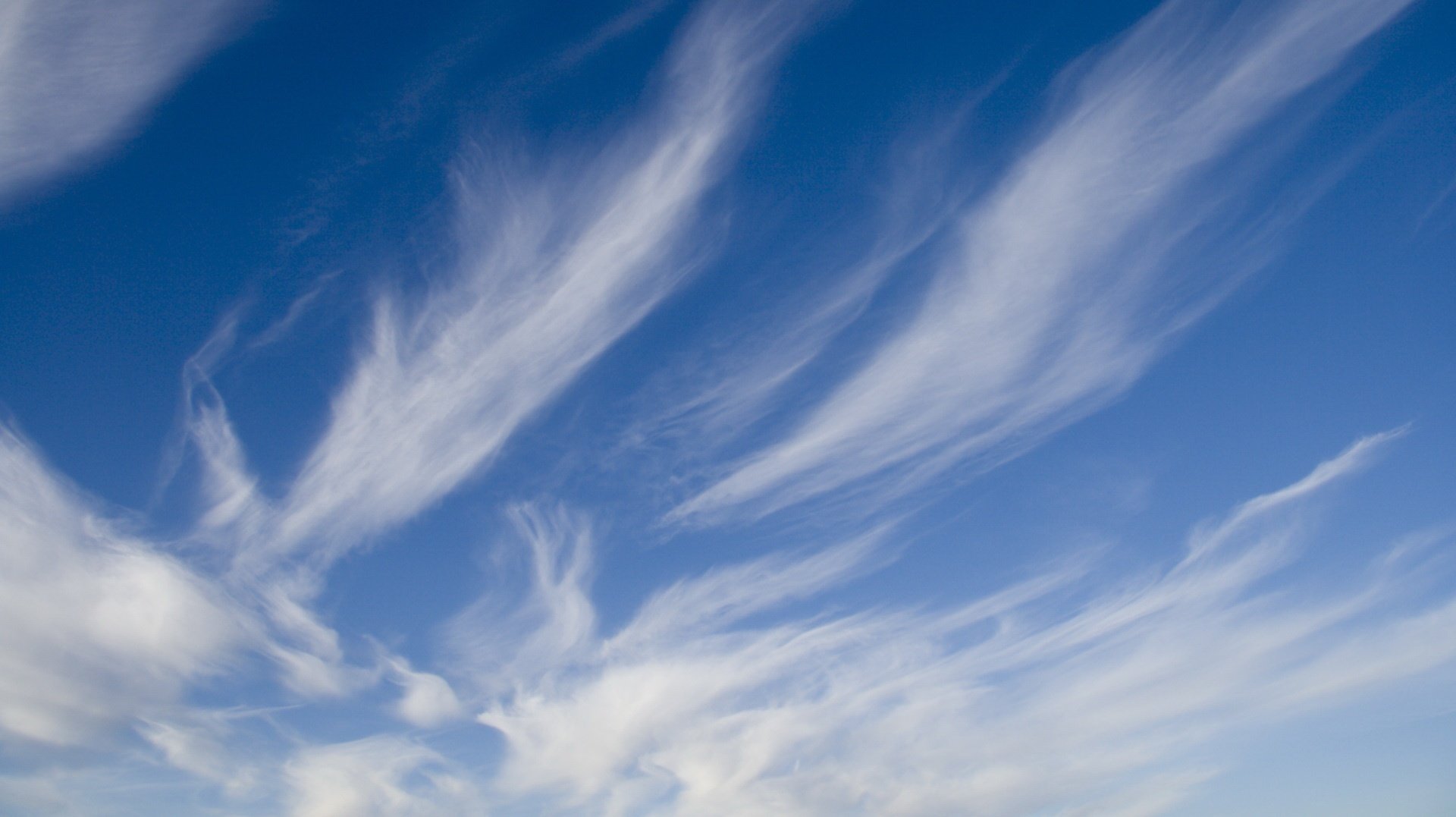 nuages transparents bords huilés ciel ciel