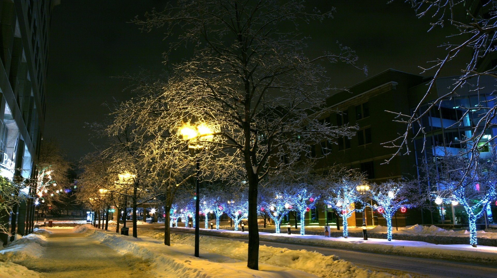 arbres lumineux humeur du nouvel an congères de neige ville nuit nouvel an vacances lanternes rangées lumières givre allée parc soirée