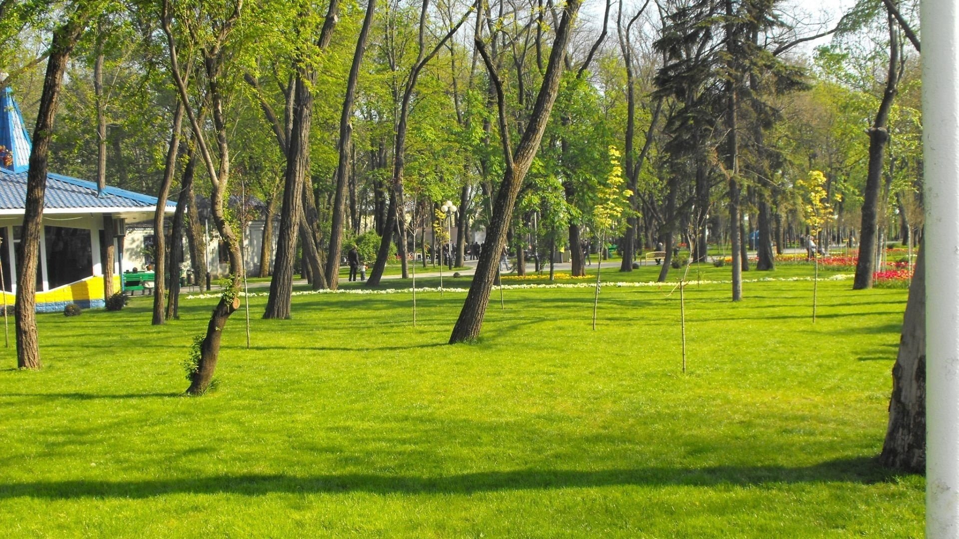 parc herbe verte maison arbres automne