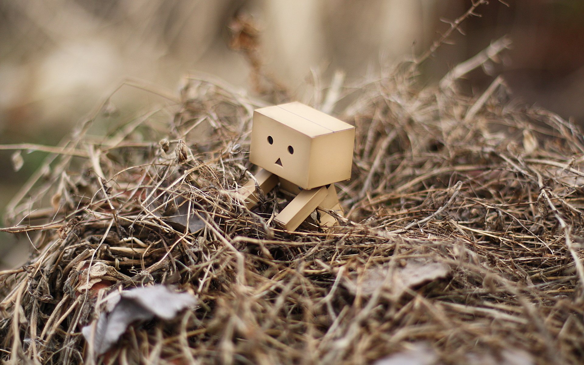 hay cardboard man day korobochek