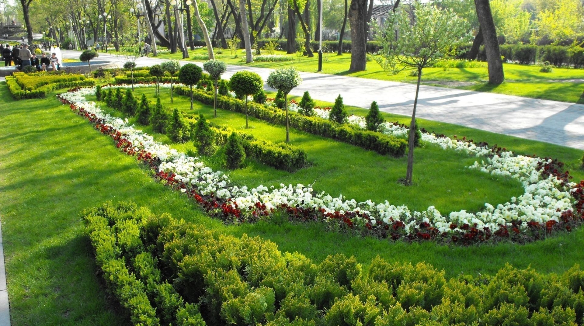 parterres de fleurs bien entretenus fleurs parc verdure plantations beauté arbres