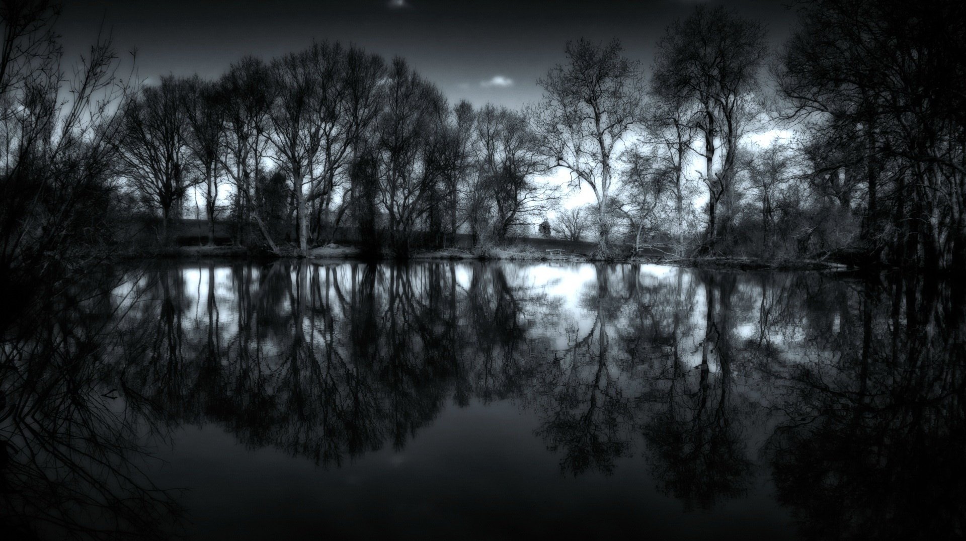 grau bäume ohne laub see wasser wald reflexion grau natur dämmerung bewölkt landschaft traurigkeit