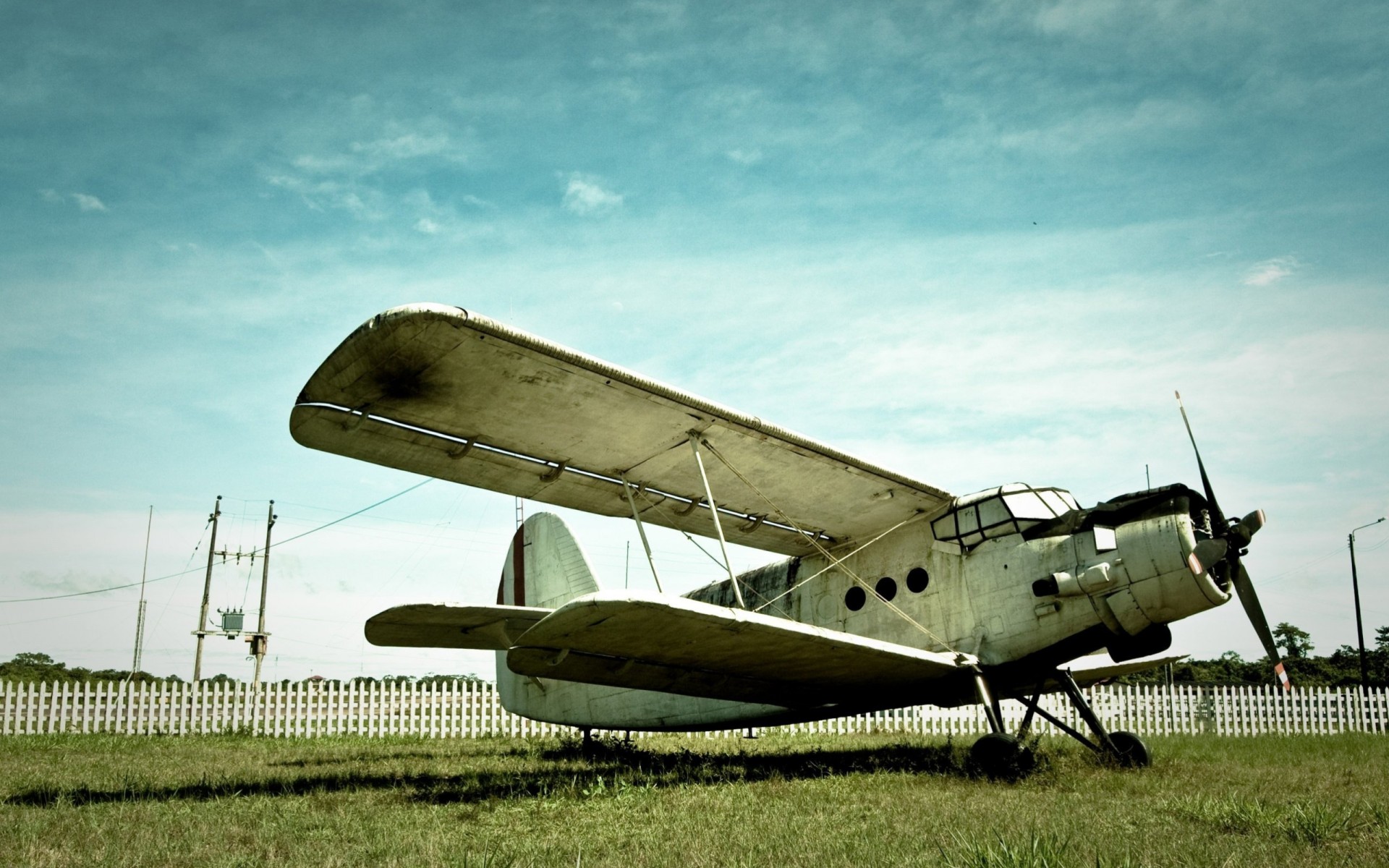 cielo hierba cerca avión