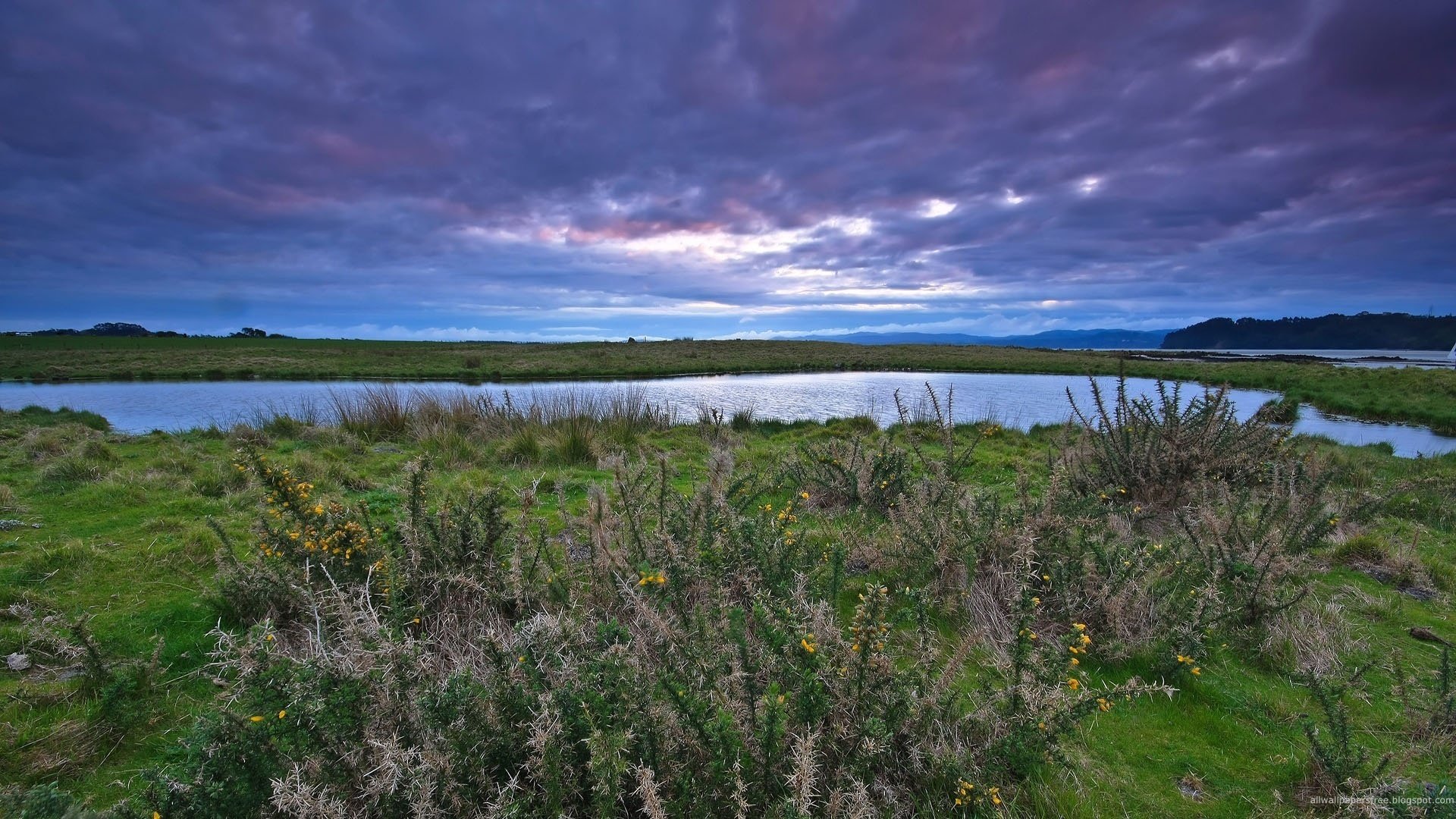 wild lake grey bushes overcast lake water the sky meadow field greens grass the bushes clouds river the two banks valley landscape