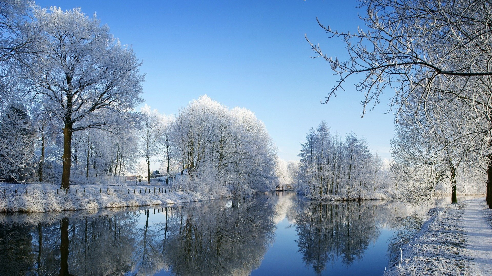 temps d hiver espaces aquatiques arbres dans la neige hiver rivière eau rivière réflexion courant paysage nature ciel givre calme silence neige