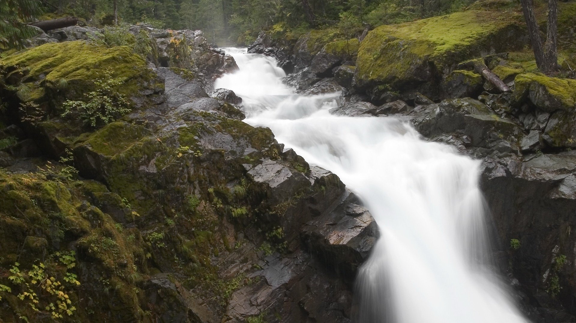 steinmassiven gebirgsbach geschwindigkeit fluss wasser bäche