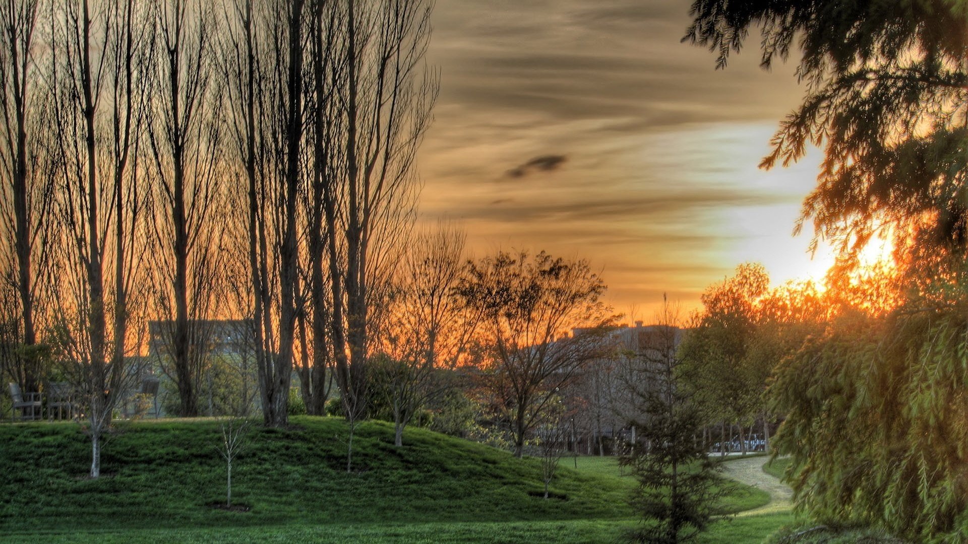 geschorener rasen vertrocknete bäume parkfläche haus sonnenuntergang weg gras