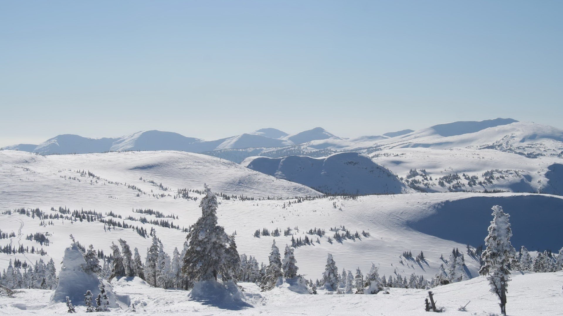 mangiato nella neve inverno colline montagne neve