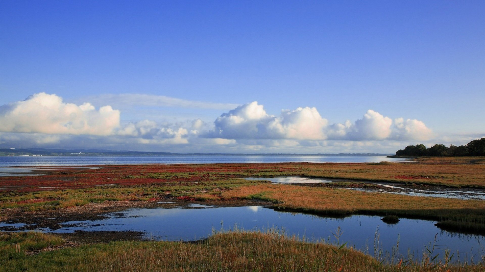 plits the earth blue water weed the sky water horizon clouds swamp landscape nature summer