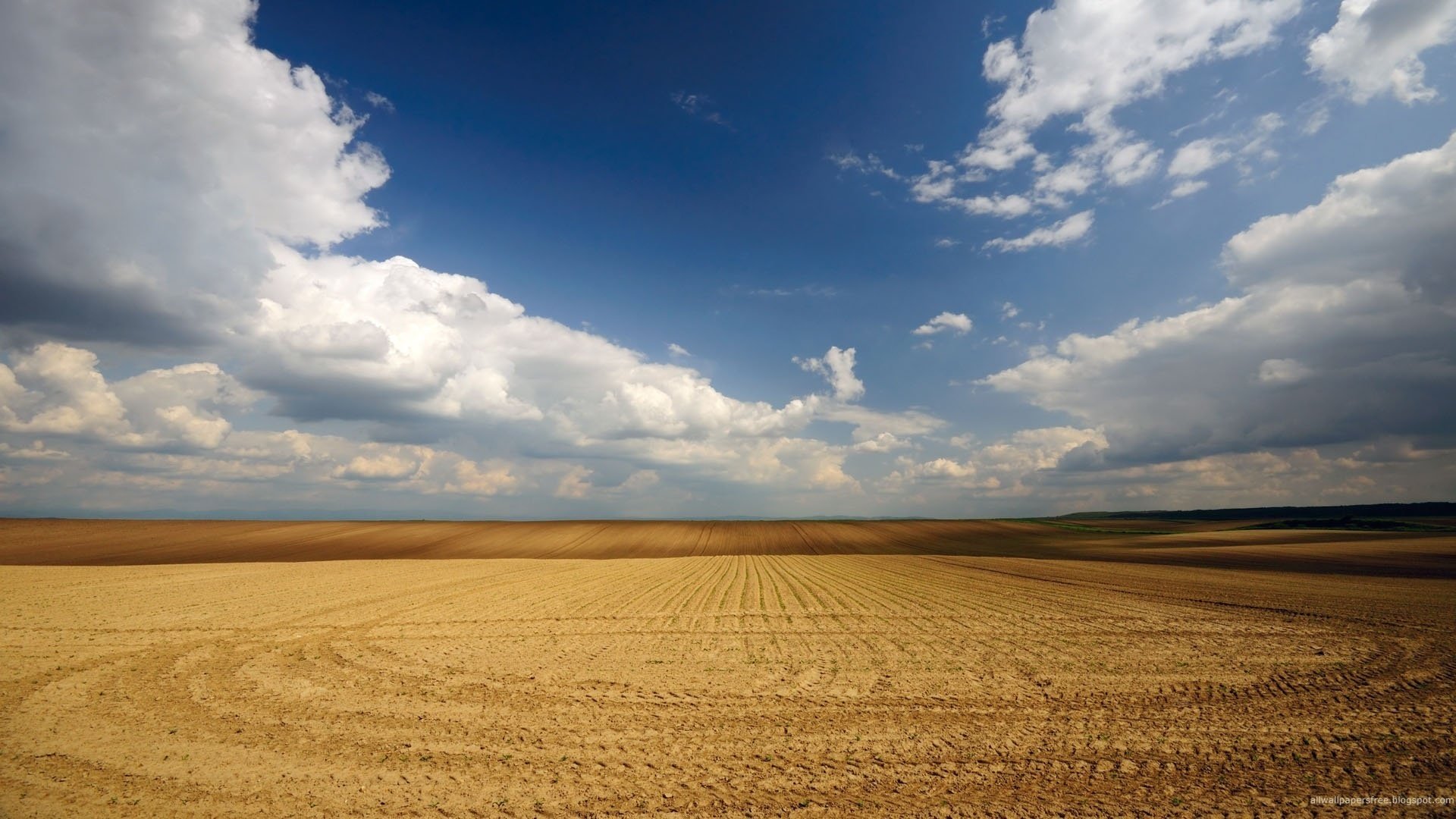 campo arato colore dorato tracce di pneumatici cielo nuvole orizzonte paesaggio campo campo di grano