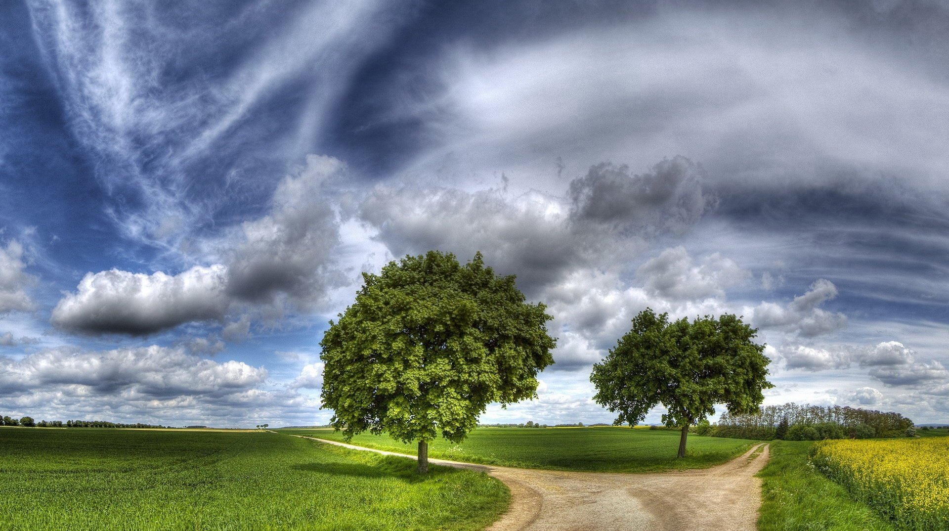 arbres dans le champ carrefour deux routes routes nuage route ciel verdure pré