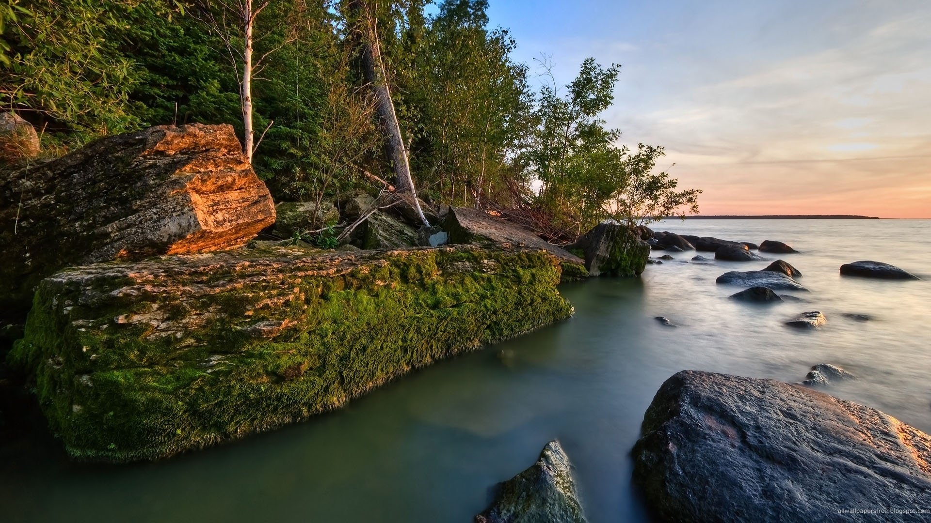 a tributary of the river overgrown stones forest plot sunset water forest shore moss open nature surface horizon landscape tree