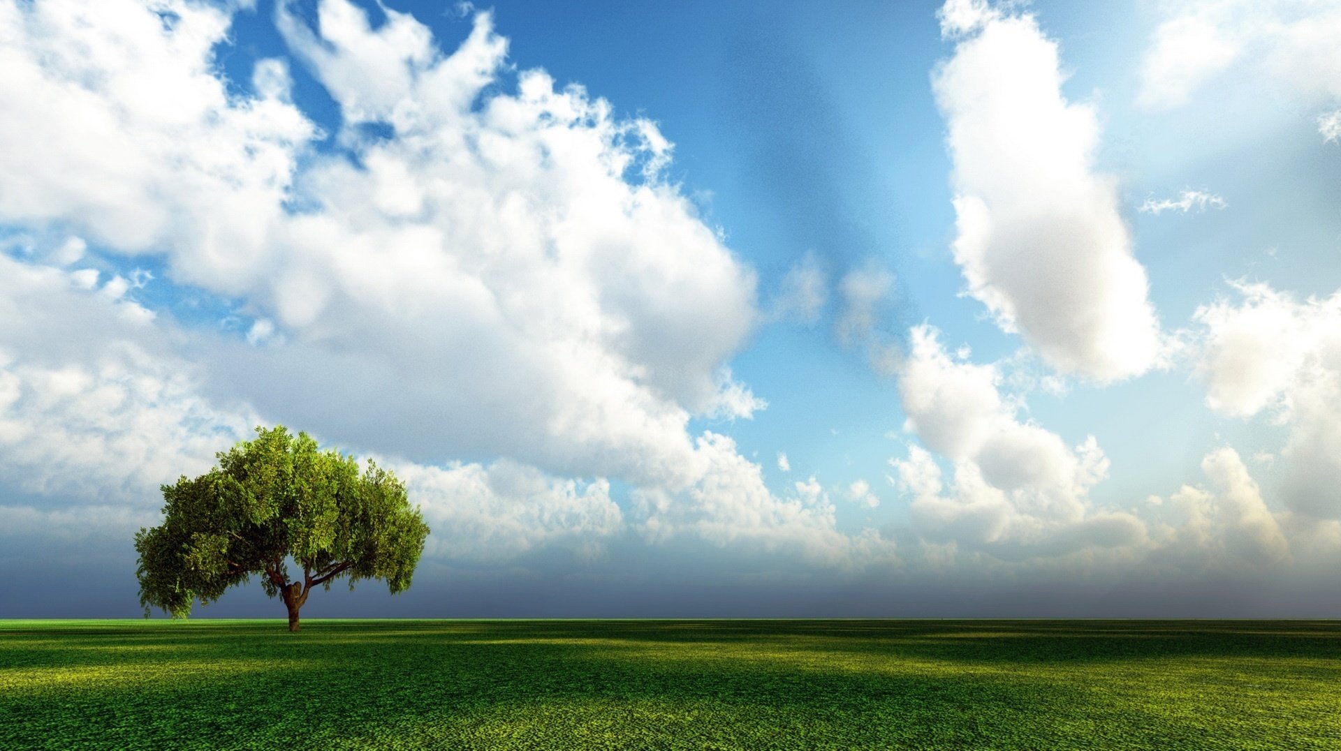 jour de vol jour d été arbre solitaire feuillage duveteux ciel champ arbre herbe verdure steppe nuages sérénité calme ombre journée ensoleillée chaleur été nuages