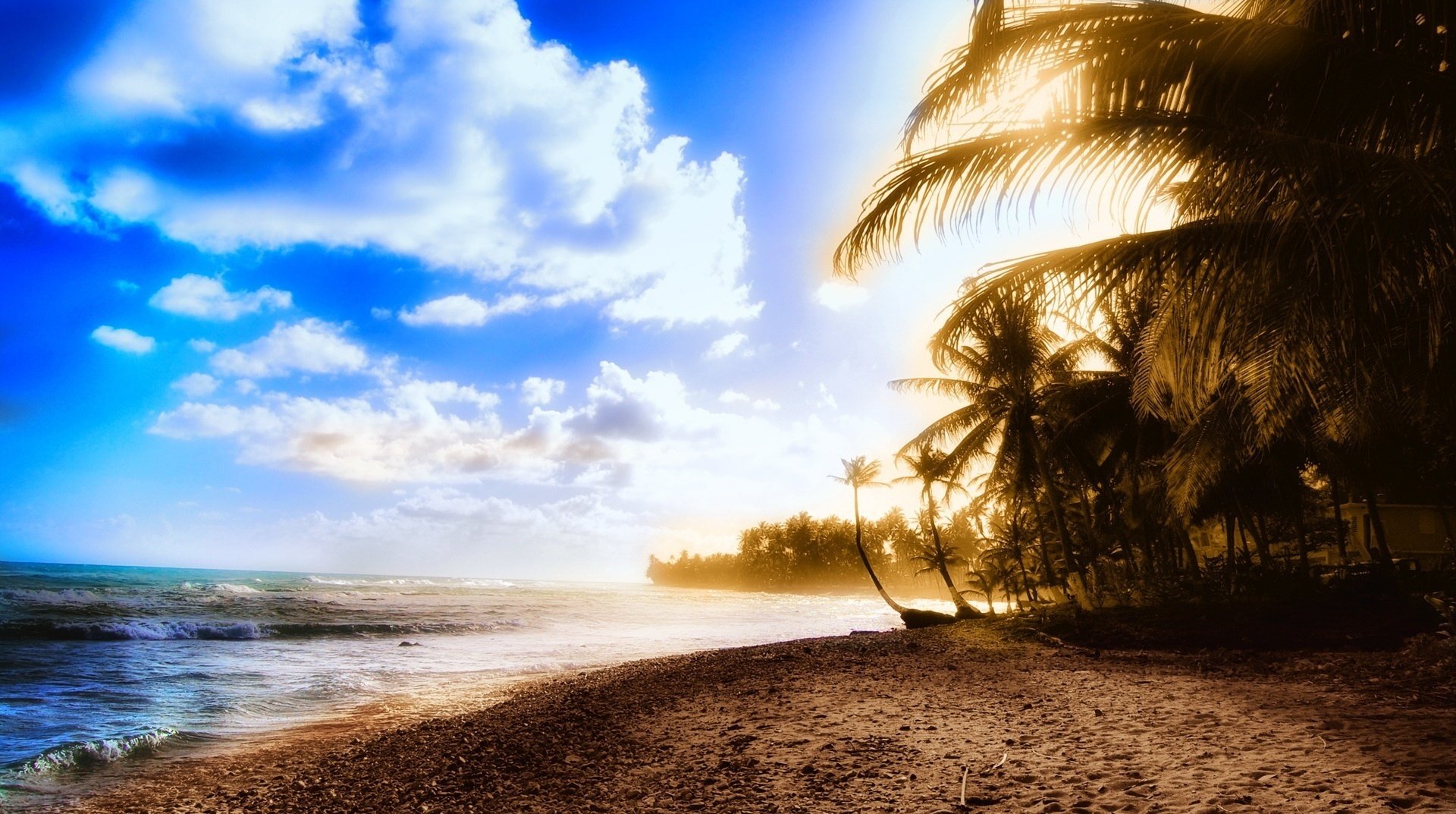 dunkler sand sonne tropische pflanzen himmel strand palmen wolken brandung ufer wellen sand küste tropen erholung