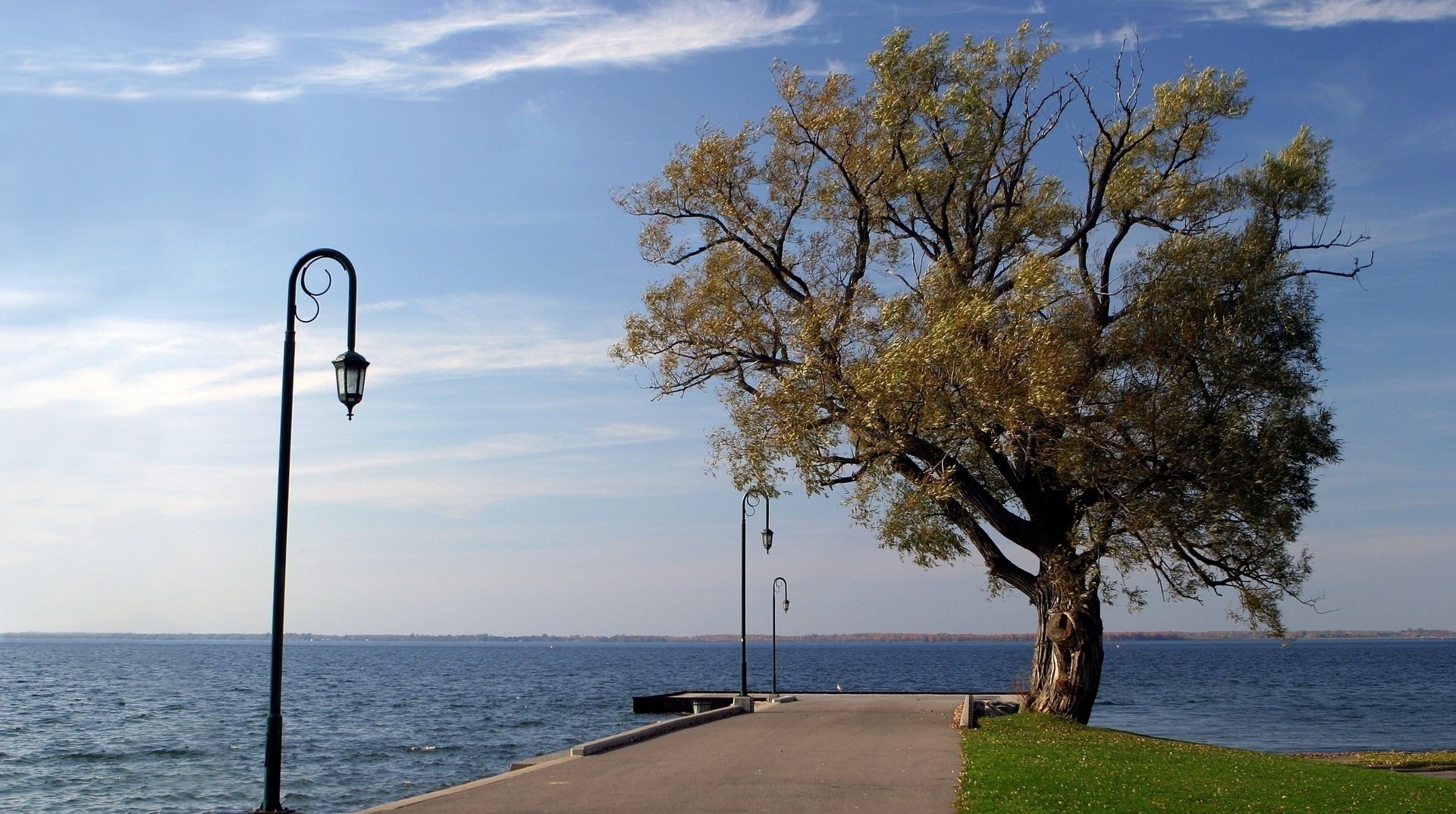 flashlight the coastal area sea tree promenade road river the sky