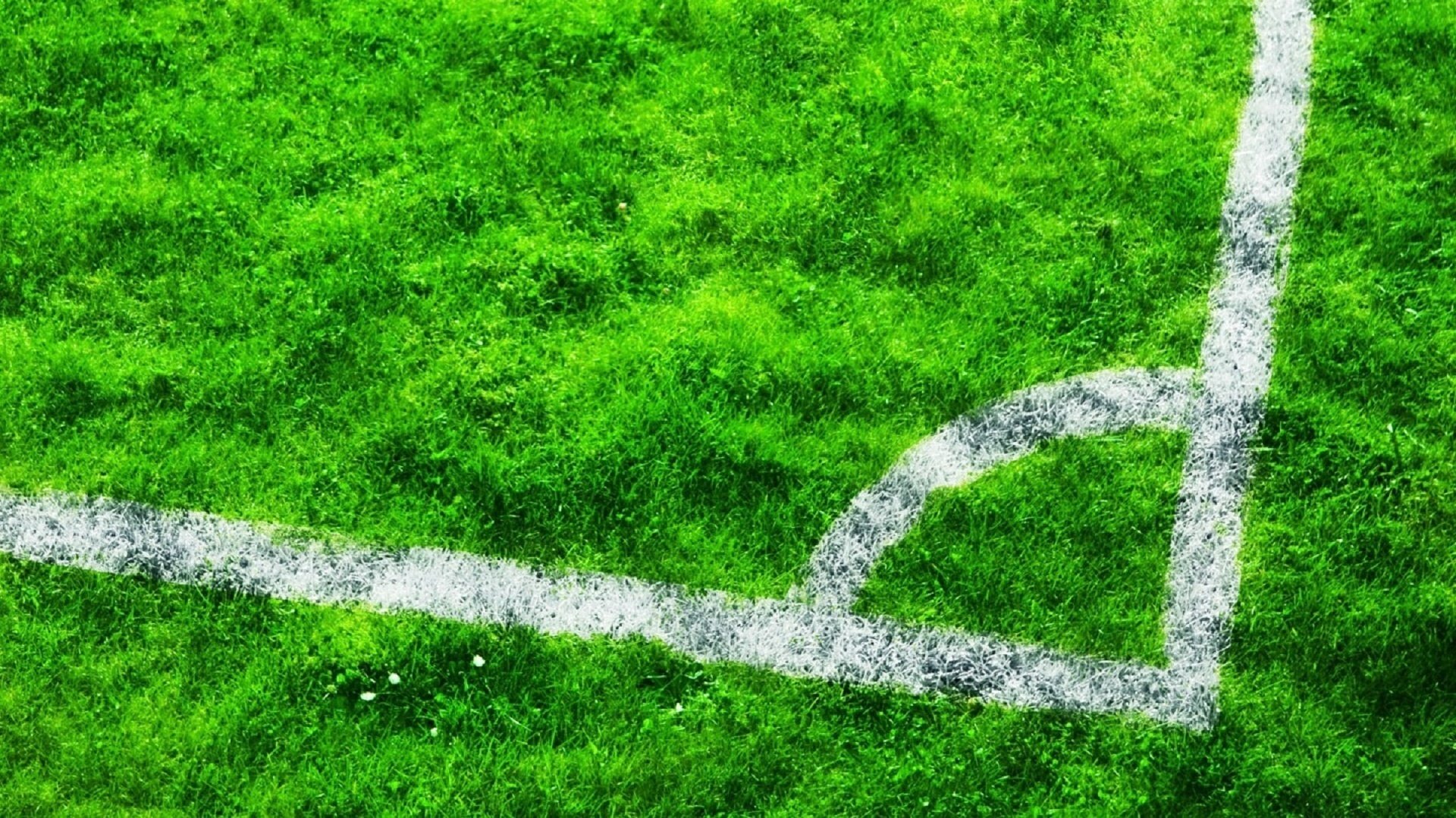 campo da gioco fiori erba disegno a gesso sport linea verde prato stadio calcio angolo