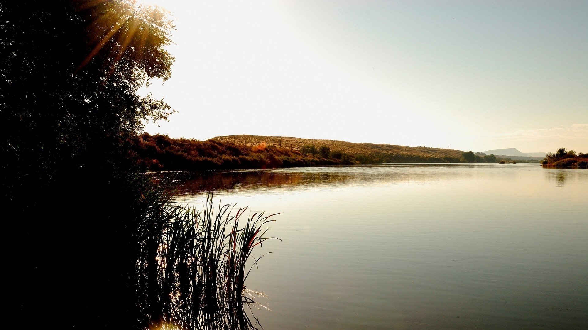 grandes áreas agua juncos lago agua día superficie rayos sol colinas costa árboles paisaje espacio naturaleza