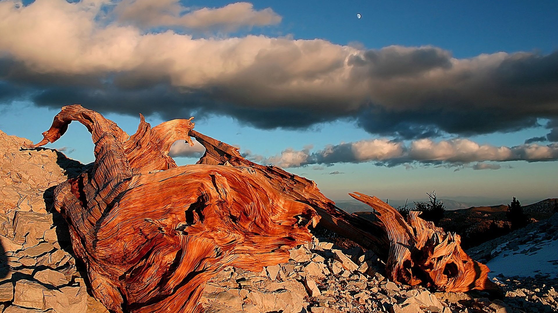 trockene steine holzsplitterstücke graue wolken himmel mond abend holz relief landschaft natur landschaft steine wolken