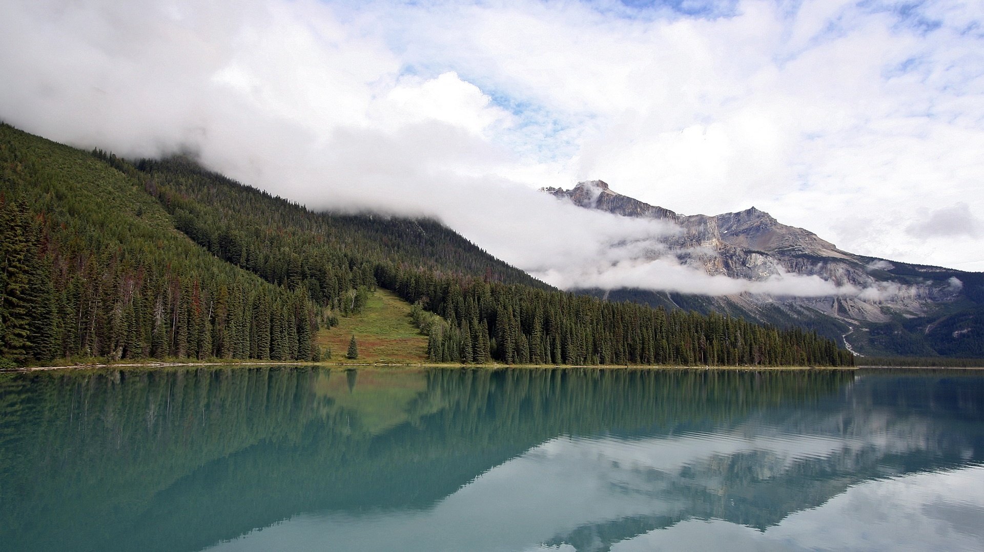 brouillard dans les montagnes forêt de sapins pentes des montagnes montagnes grises montagnes eau lac ciel nuages paysage vue nature surface arbres sapins forêt côte turquoise