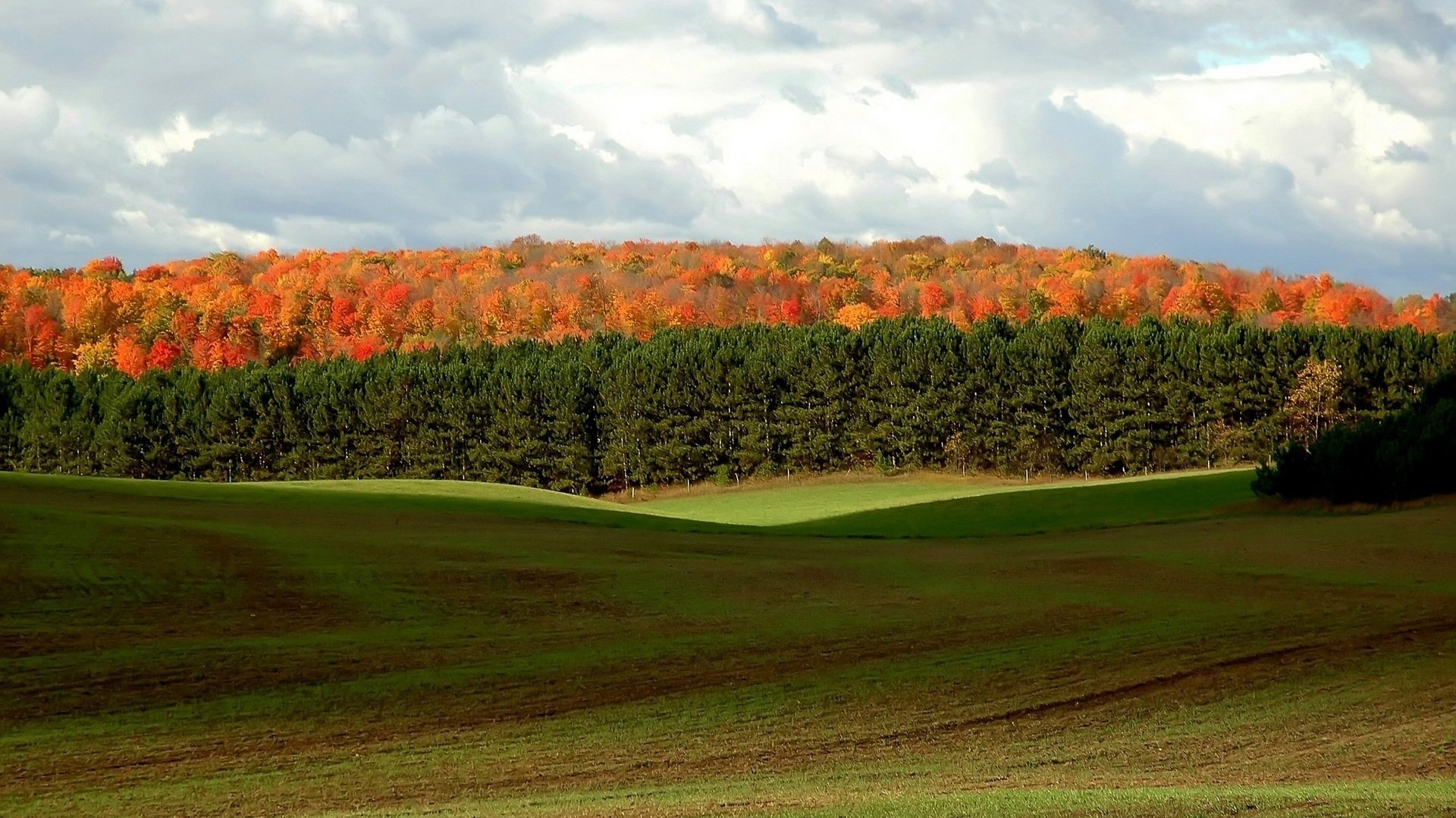 meadow in the mountains the colorful spots autumn forest trees the sky cloud