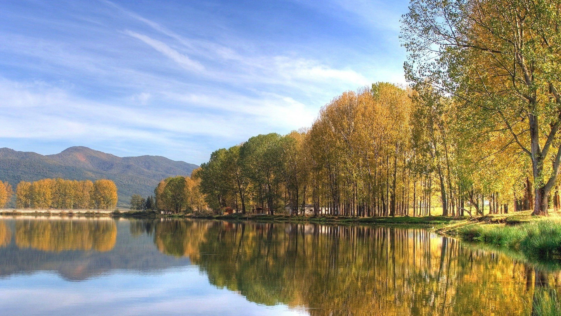 specchio d acqua alberi pelosi foglie gialle cielo lago foresta acqua montagne alberi paesaggio calma nuvole erba verde riflessione