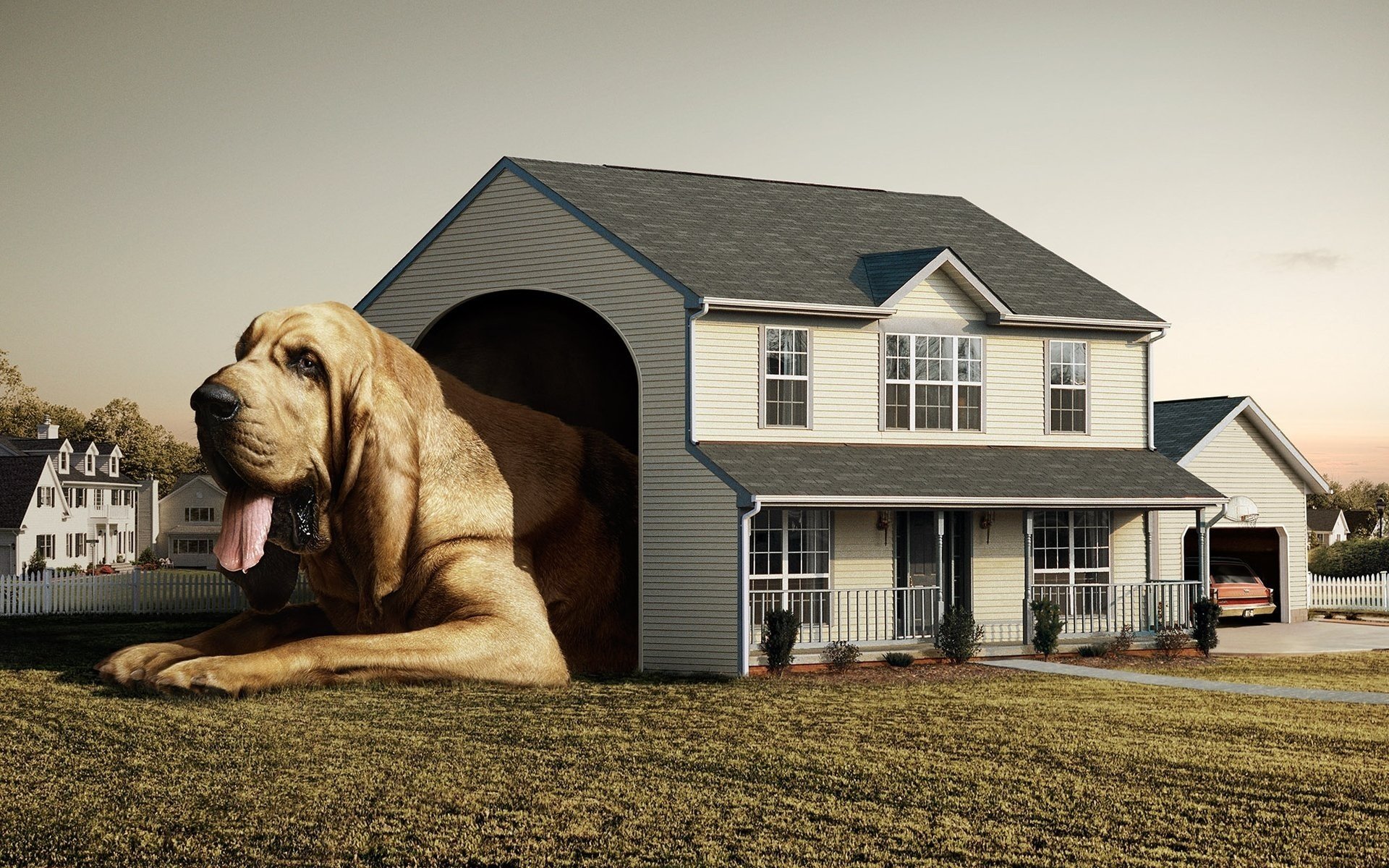 ich möchte in einem haus leben ein großer hund ein kleines haus ein haus eine hütte eine zwinger eine zunge ein hund ein witz tiere hunde gaw-gaw-gaw-gaw-gaw-gaw-gaw-gaw-gaw-gaw-gaw-gaw-gaw-gaw-gaw-gaw