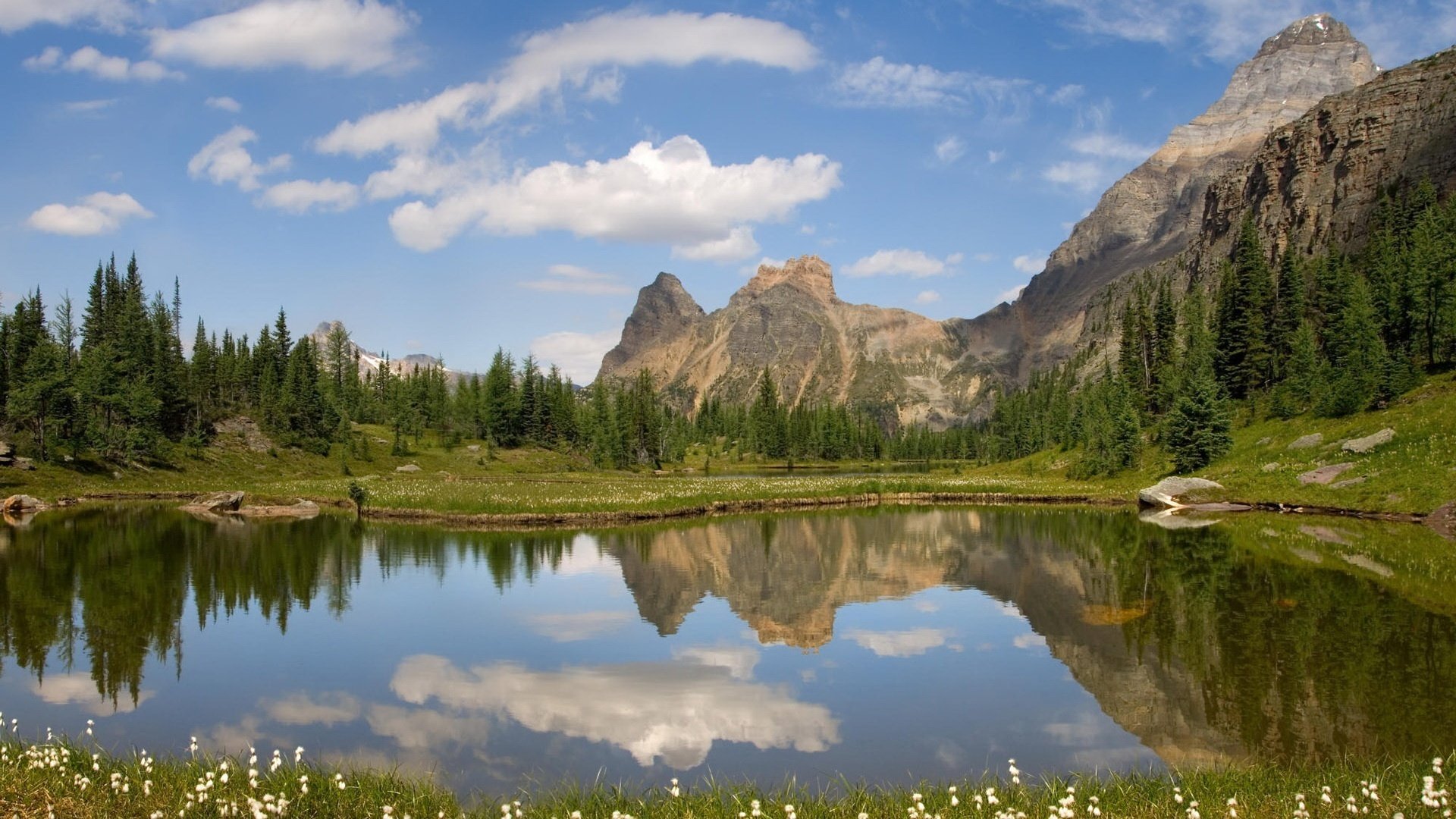 partie sauvage peintures de la nature miroir montagnes lac ciel nuages réflexion nature paysage propreté surface arbres de noël roches