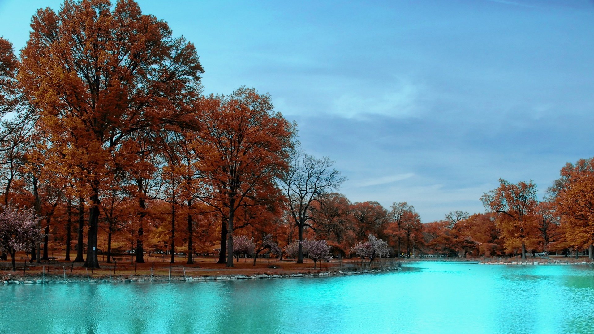 braune blätter helles wasser kühle fluss wald herbst stille bäume gelassenheit natur himmel park