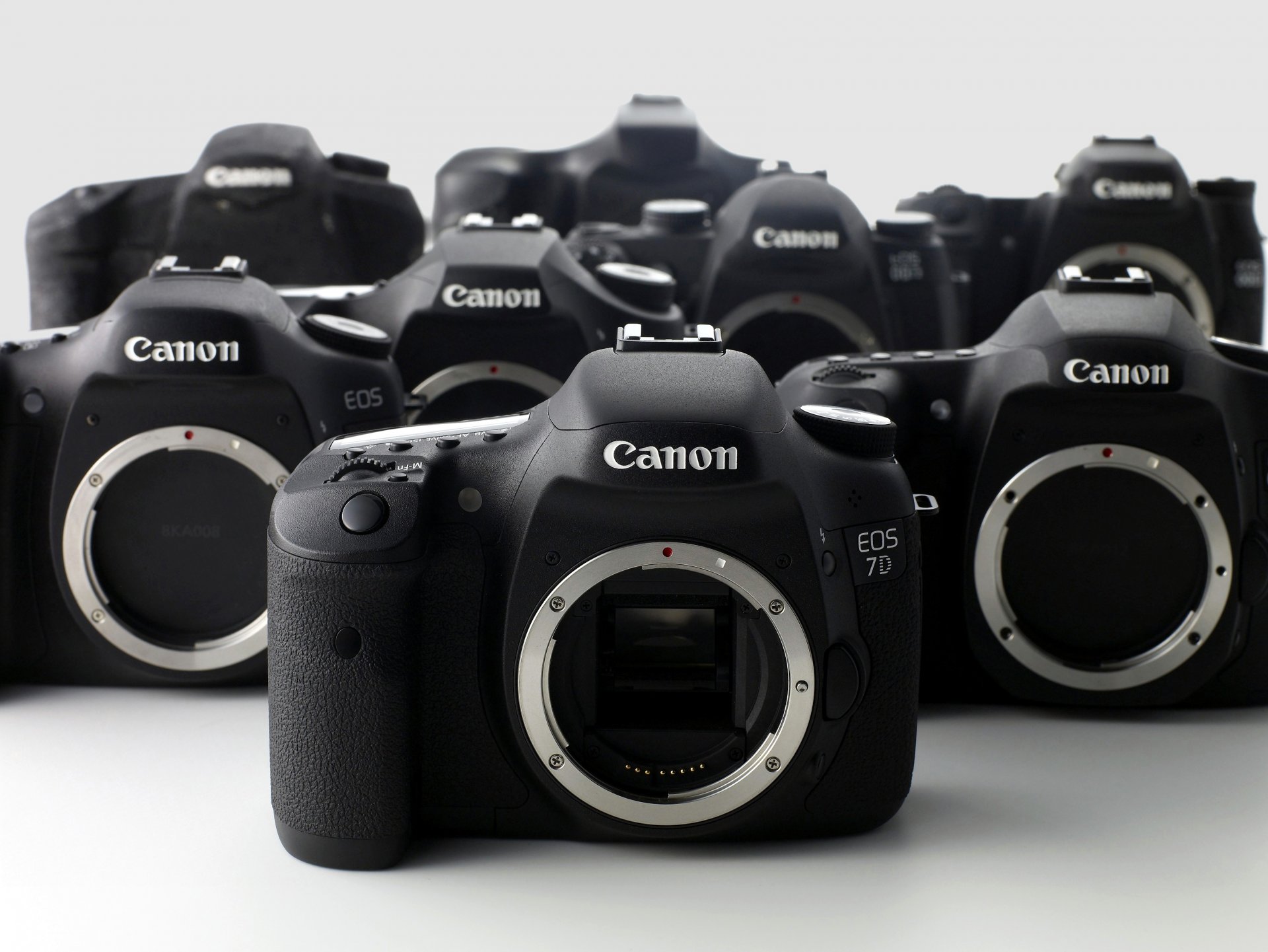 canon eos 7d makro hintergrund