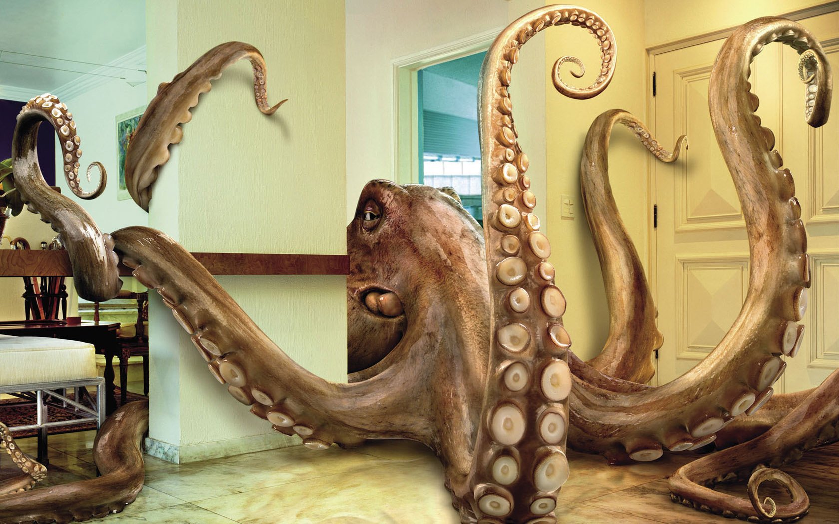 innendekoration oktopus wichtige person tiere fantasie unterwasserwelt