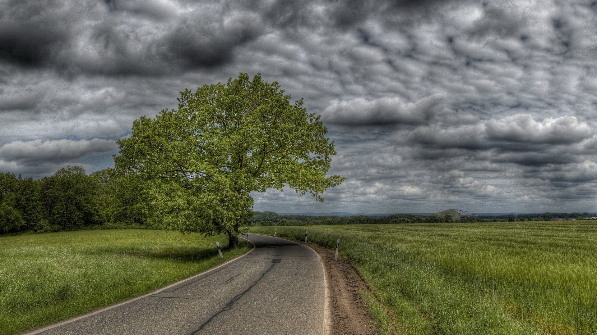 strada nel campo nuvole scure albero verde strada temporale cielo marcatura dissuasori svolta erba campo nuvole temporalesche nuvoloso maltempo