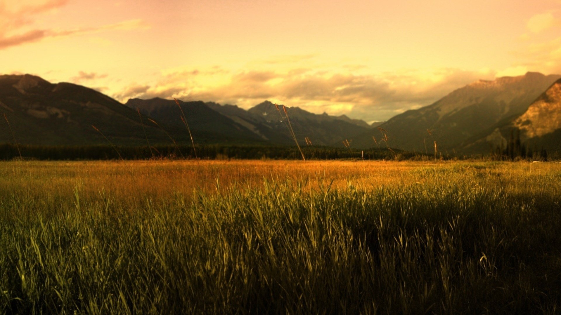 natura addormentata montagne campo dorato tramonto erba sole cielo nuvole nuvole serenità sera calma calore