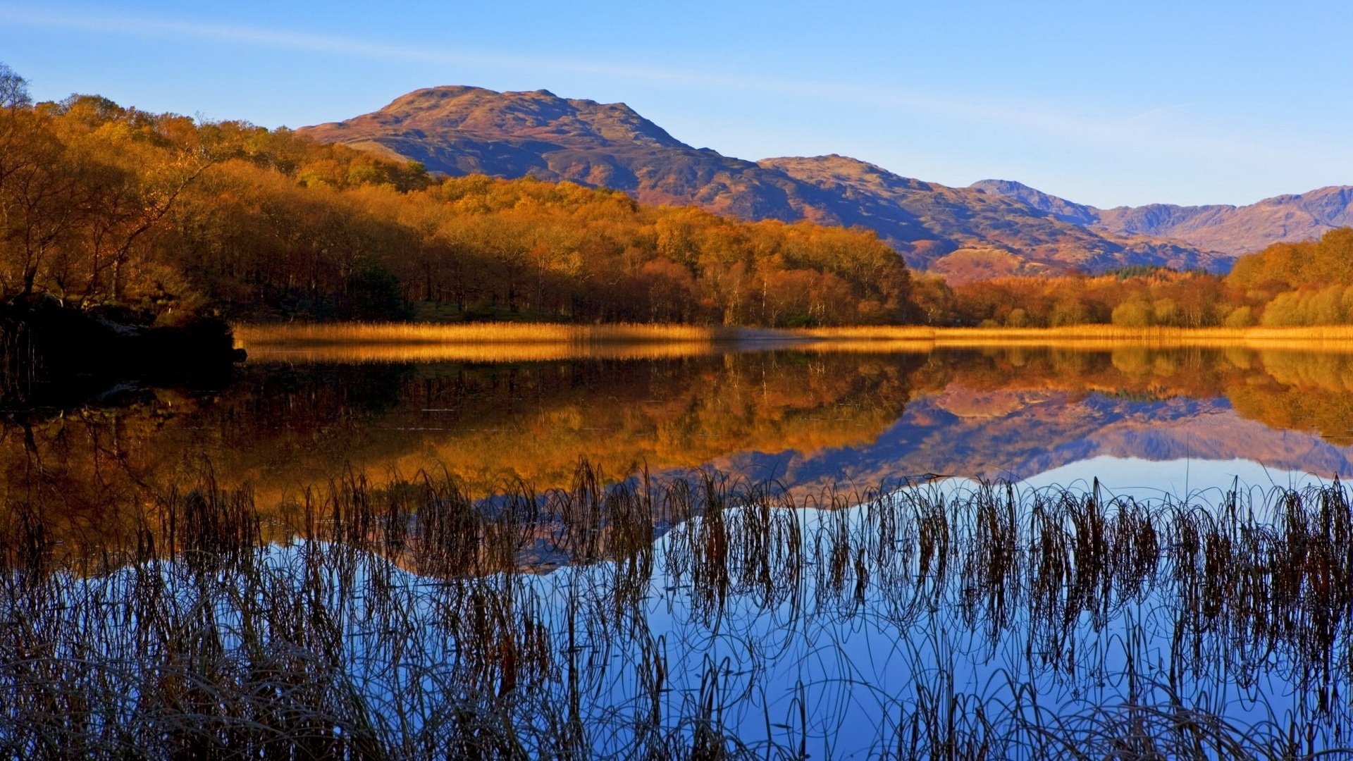 lago bosques juncos montañas lago agua bosque superficie reflexión naturaleza colores de otoño bosque de otoño paisaje