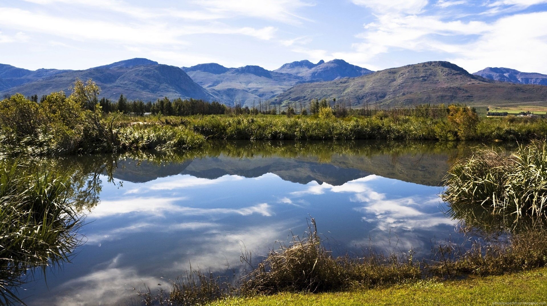 дикой природы красота камыши горы вода озеро облака отражение пейзаж берег растительность трава кустарники