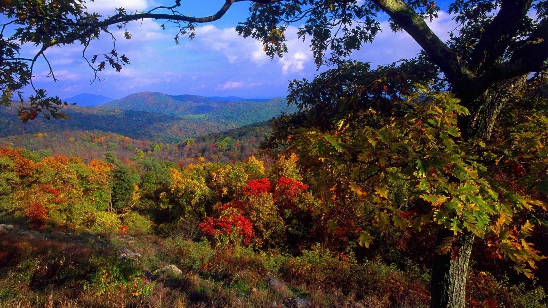 the onset of autumn hills forest plantations autumn forest mountains blue sky clouds day autumn colors leave