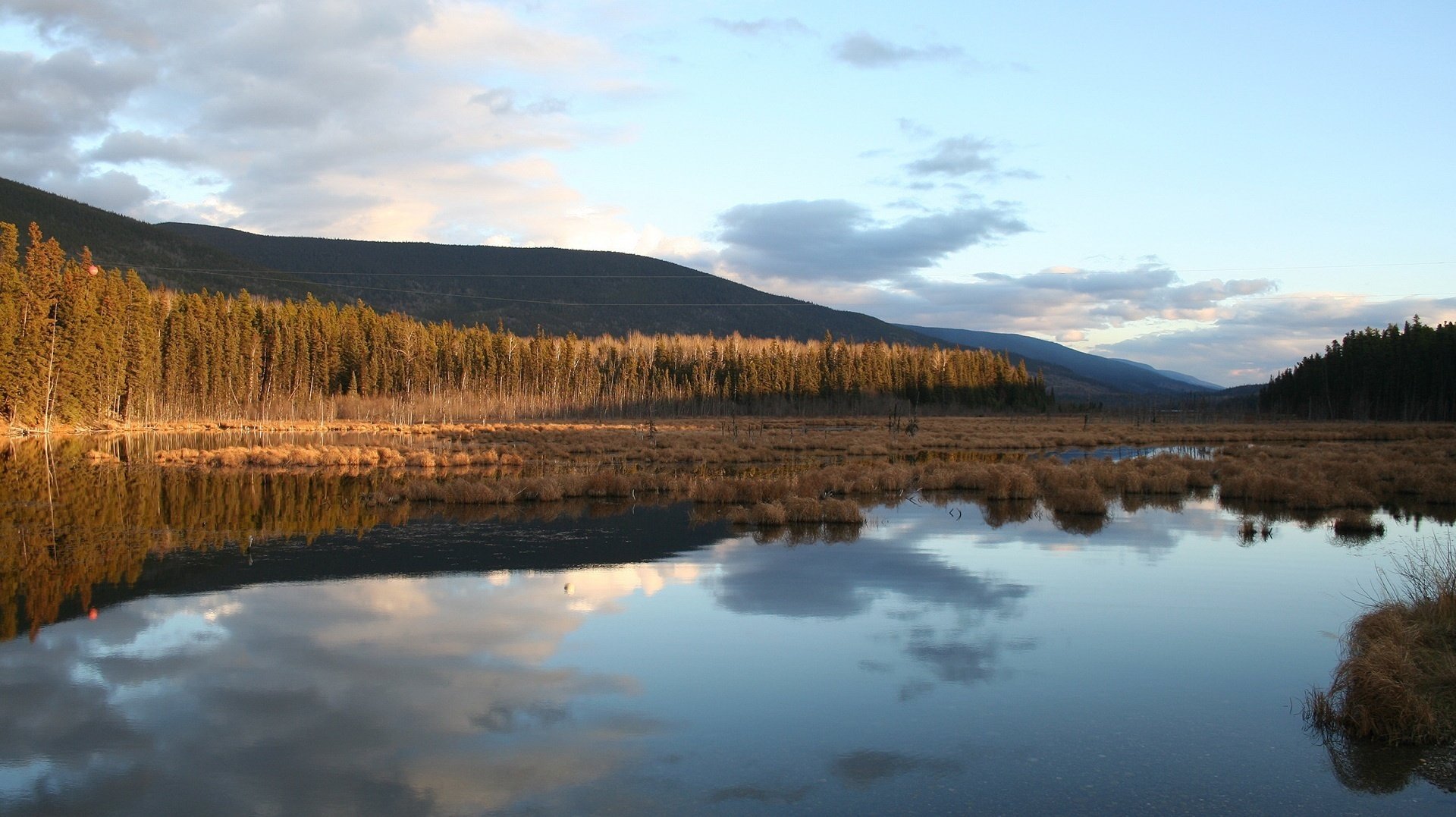 bord de la côte arbres étendues d eau montagnes lac eau