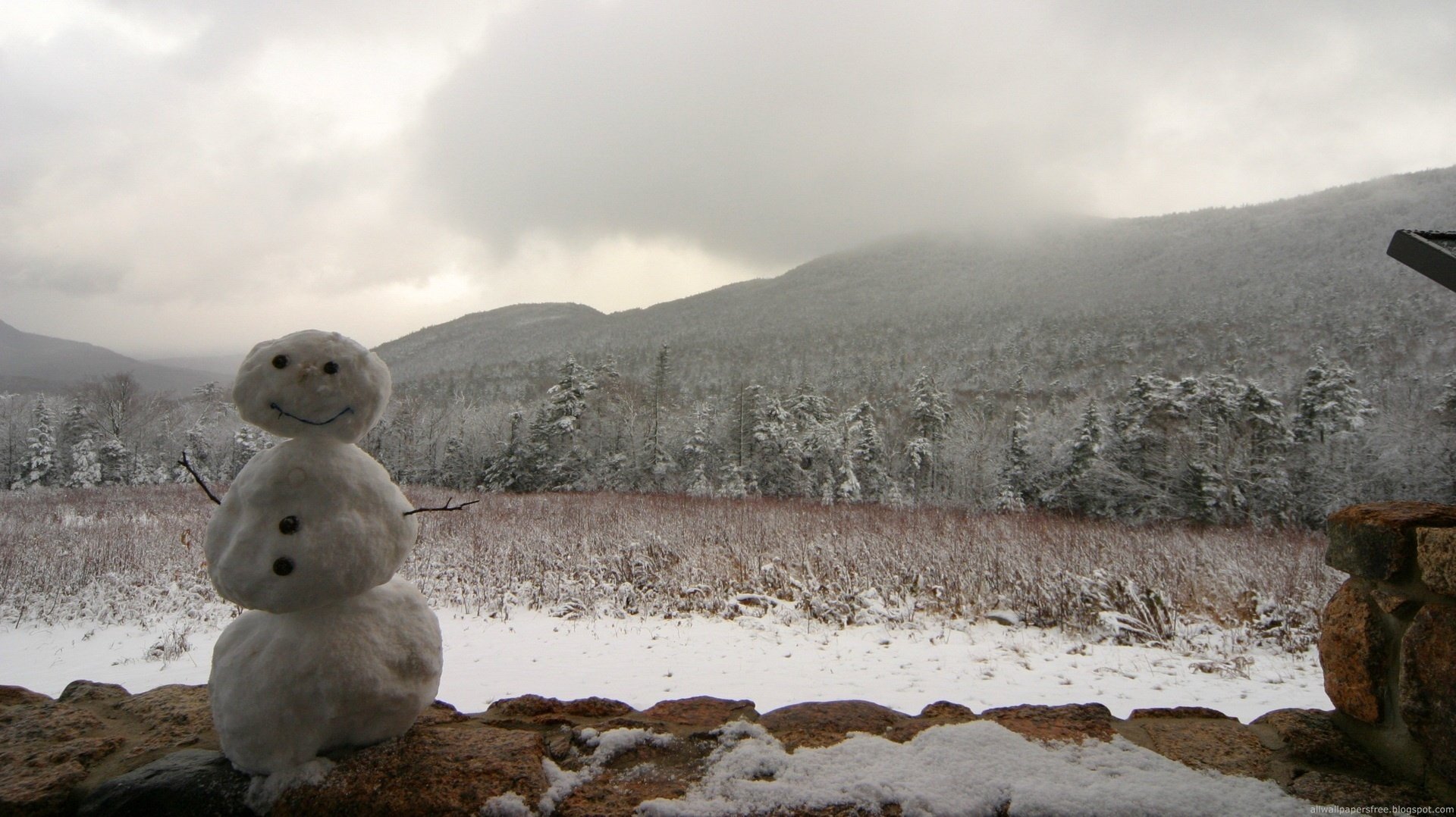 baba de nieve bromas para niños montaña invierno muñeco de nieve nieve gris sonrisa viento campo montañas velo