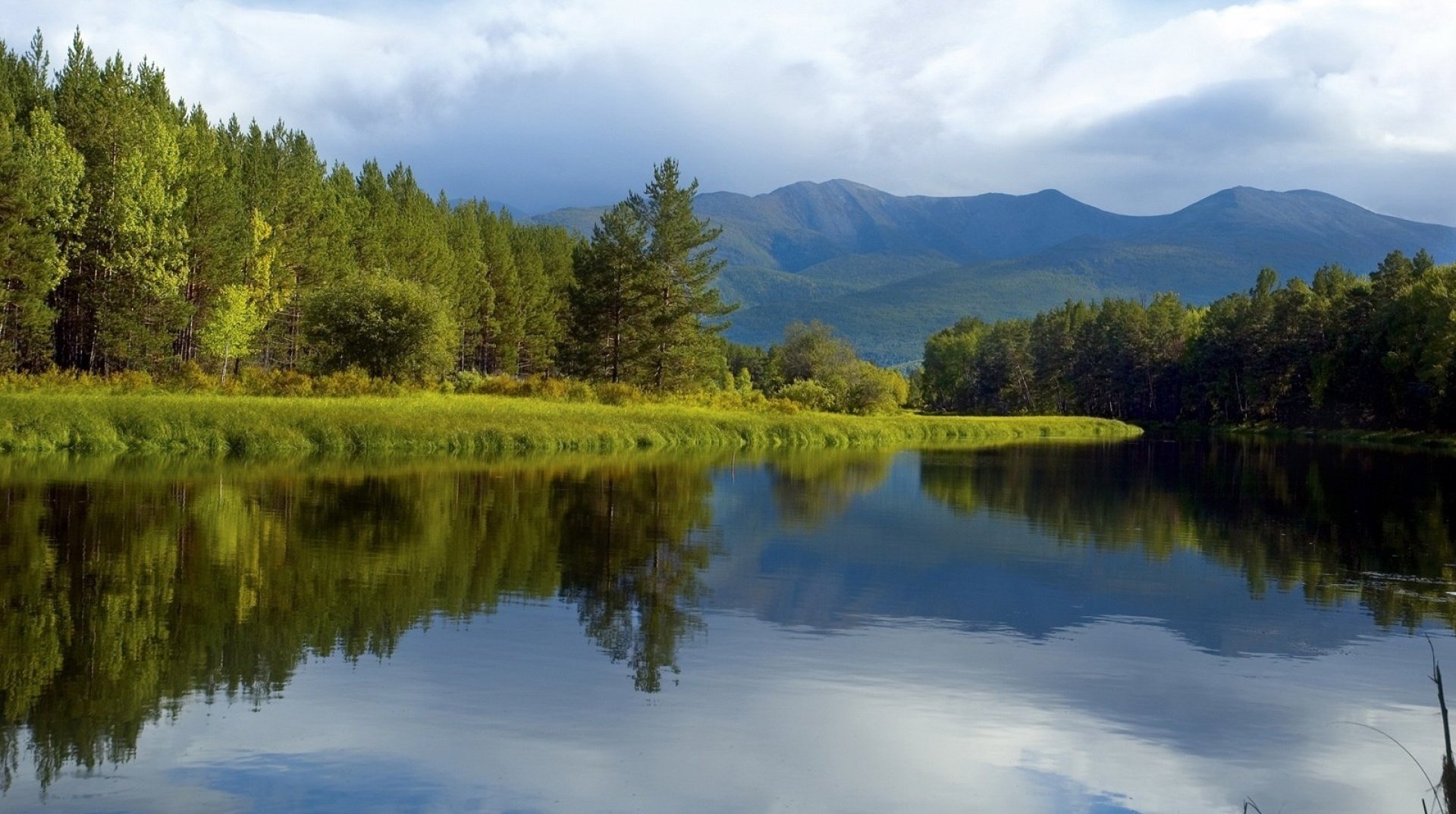 christmas tree plantings russian nature lake nature mirror mountains forest water reflection clouds evening christmas trees trees greenery landscape landscape