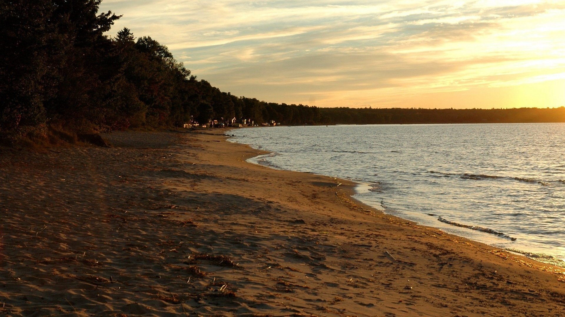 kleine zweige sand küste sonnenuntergang küste meer brandung bucht bucht strand landschaft natur abend bäume kleine wellen