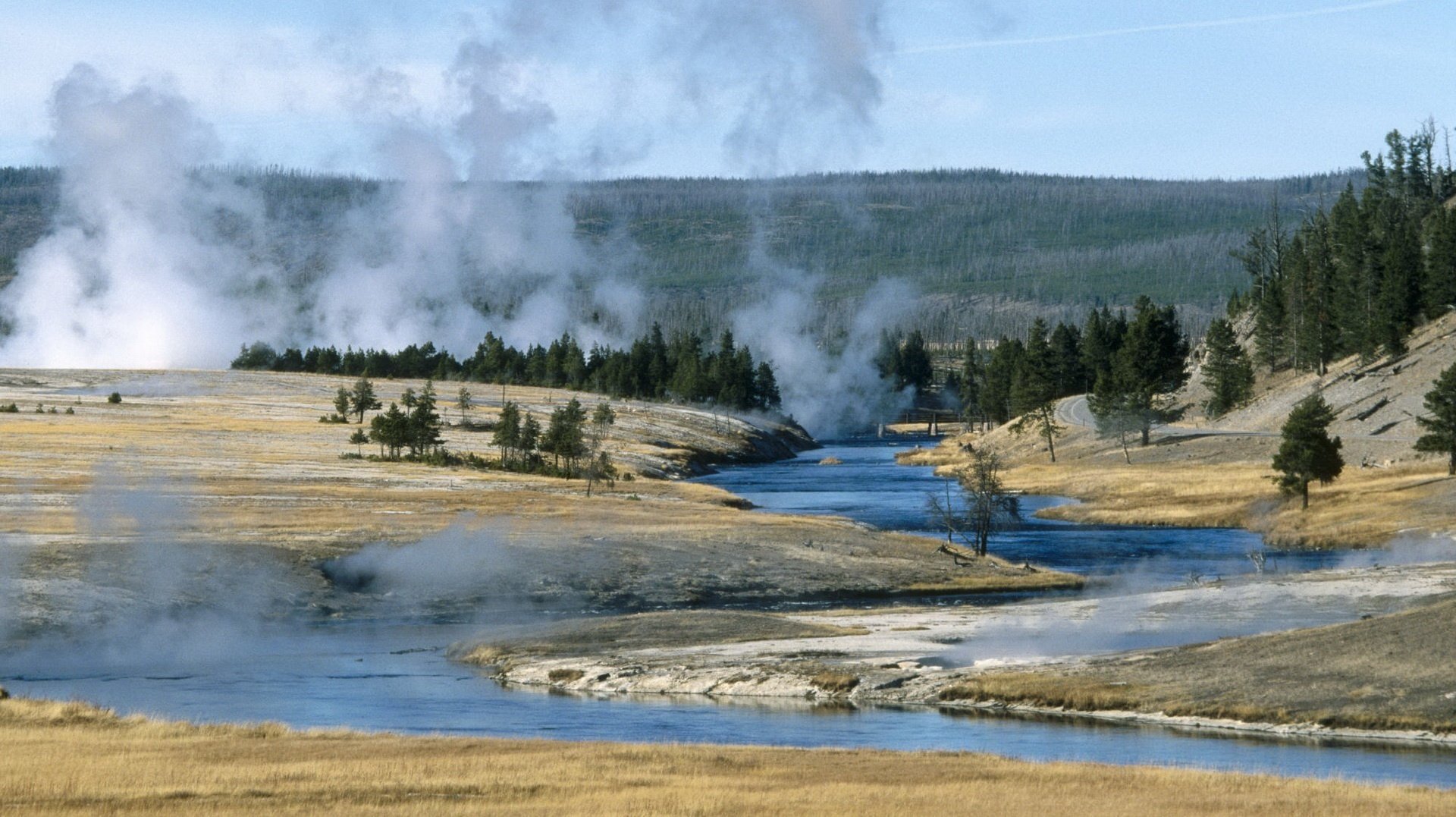 géiseres calientes arroyo vida silvestre árboles abetos río paisaje