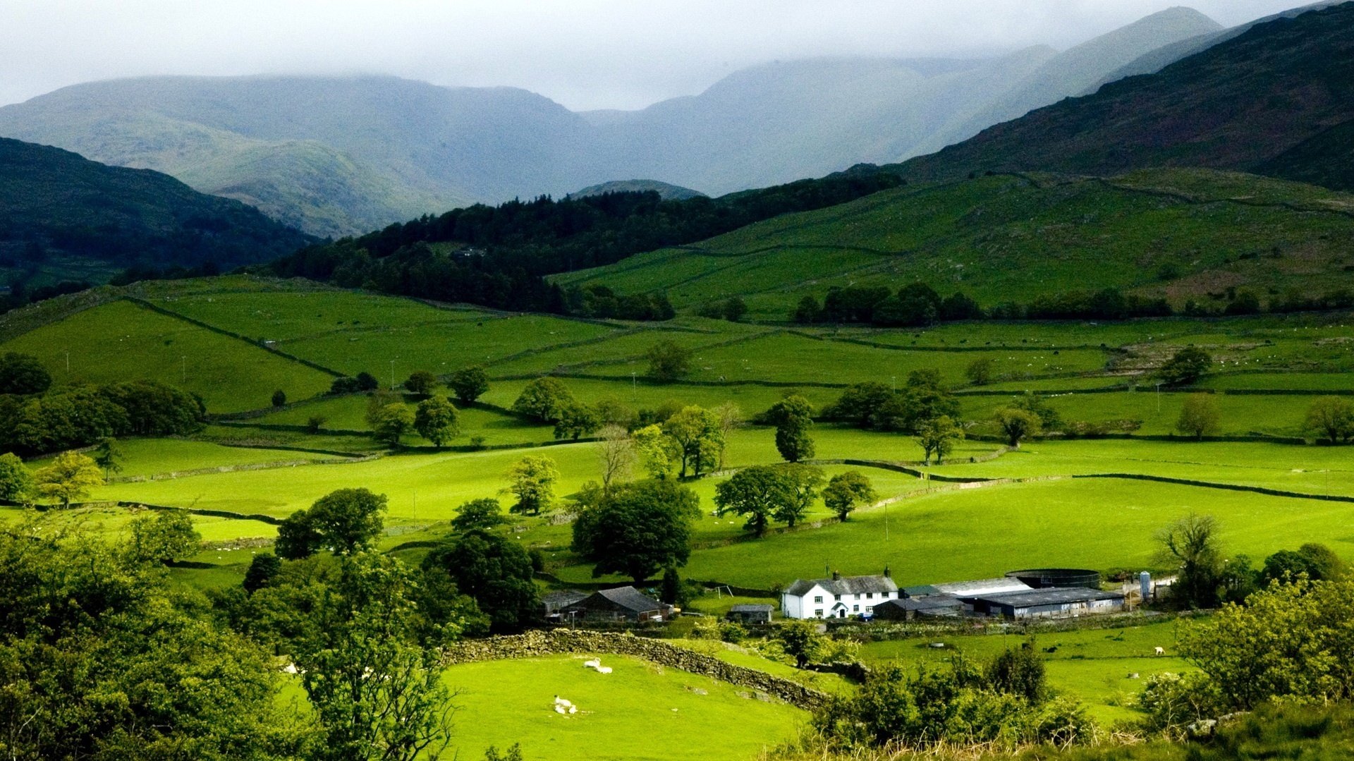 green carpets the white house shadow mountains farm greens trees field