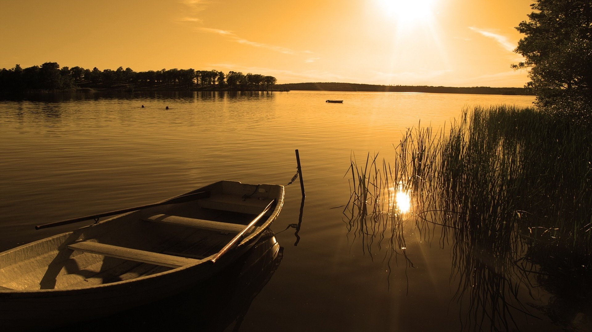 untergehende sonne boot schilf sonnenuntergang fluss abend glatte oberfläche landschaft strahlen see boot bäume wald